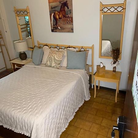The Bambu Room At Casa Of Essence Located In Heart Of Old San Juan Buitenkant foto
